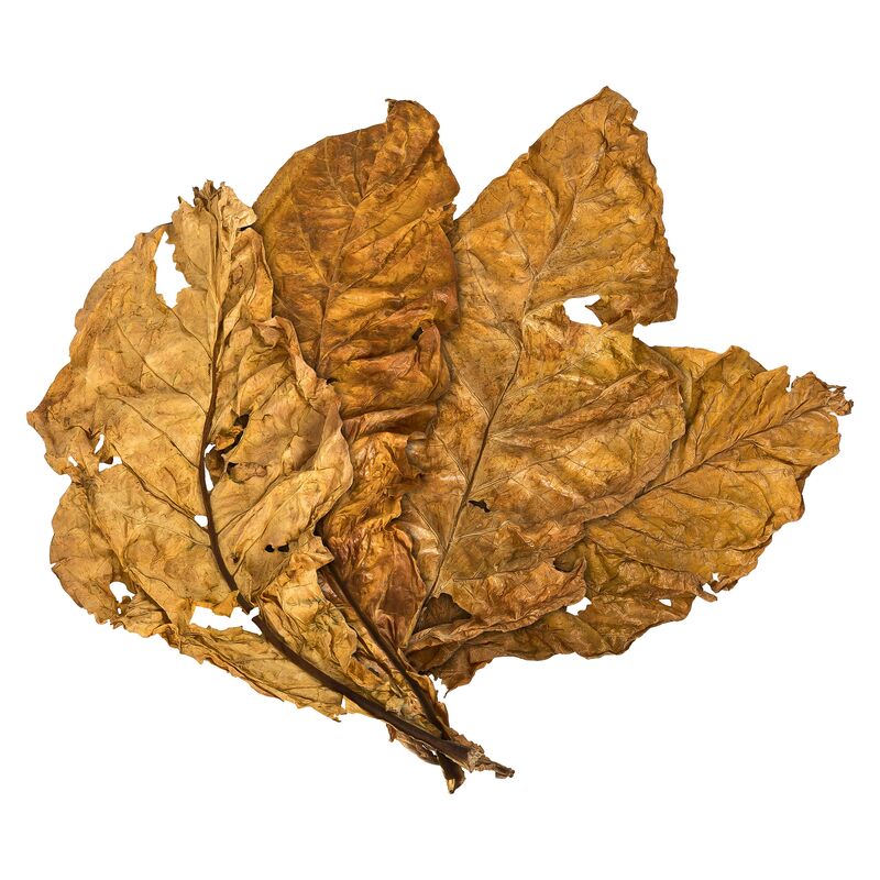 Kentucky Orange Tabakblätter Rohtabak